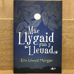 Elin Llwyd Morgan