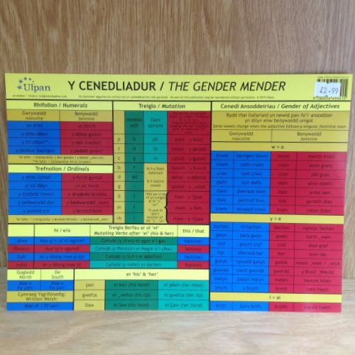 Y Cenedliadur (The Gender Mender)