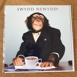 Swydd Newydd - New Job