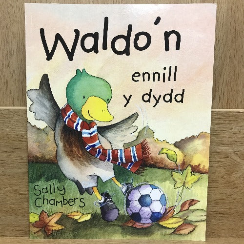 Waldo'n ennill y dydd