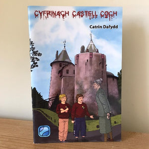 Cyfrinach Castell Coch