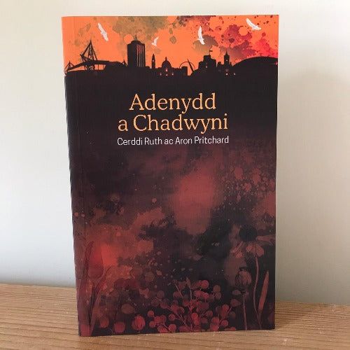 Adenydd a Chadwyni - Ruth ac Aron Pritchard