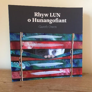 Rhyw LUN o Hunangofiant - Gareth Owen