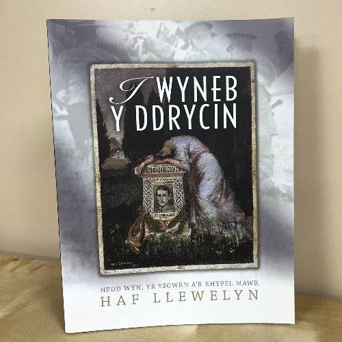 I Wyneb y Ddrycin: Hedd Wyn, Yr Ysgwrn a'r Rhyfel Mawr - Haf Llywelyn