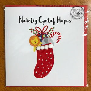 Nadolig Cyntaf - First Christmas