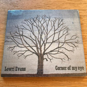 Lowri Evans - Corner of my eye