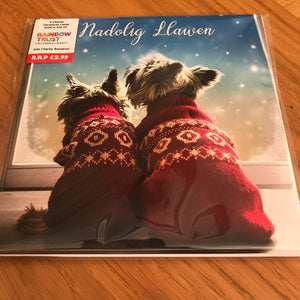 Two Dogs - Welsh Christmas Cards - Pecynnau cardiau Elusennol - Packs of charity cards