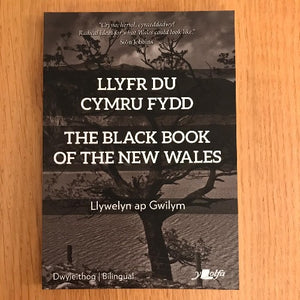 Llyfr Du Cymru Fydd / The Black Book of the New Wales