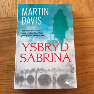 Ysbryd Sabrina - Martin Davis