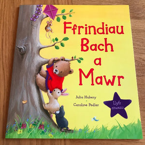 Ffrindiau Bach a Mawr