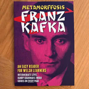 Metamorffosis Franz Kafka
