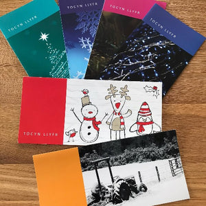 Book tokens - Tocynnau Llyfrau - Book token cards - Cardiau tocyn llyfrau - Welsh Bookshop - Nadolig - Christmas Cards - Christmas gift 