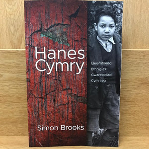 Hanes Cymry - Lleiafrifoedd Ethnig a'r Gwareiddiad Cymraeg - Simon Brooks