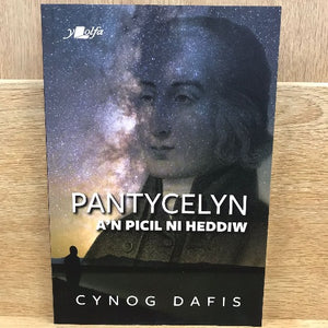 Pantycelyn a'n picil ni heddiw - cynog dafis - Welsh bookshop - welsh bookshop cardiff