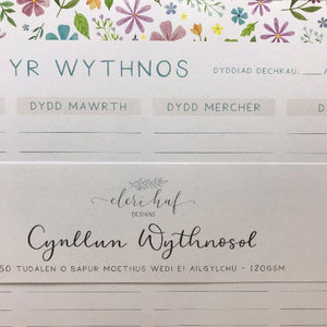 Cynllun yr Wythnos - Eleri Haf - Welsh bookshop