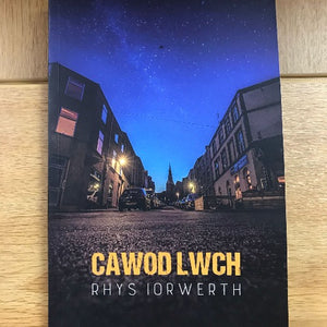 Cawod Lwch - Rhys Iorwerth - Welsh Bookshop 