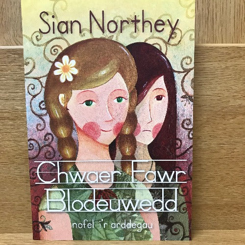 Chwaer Fawr Blodeuwedd - Siân Northey