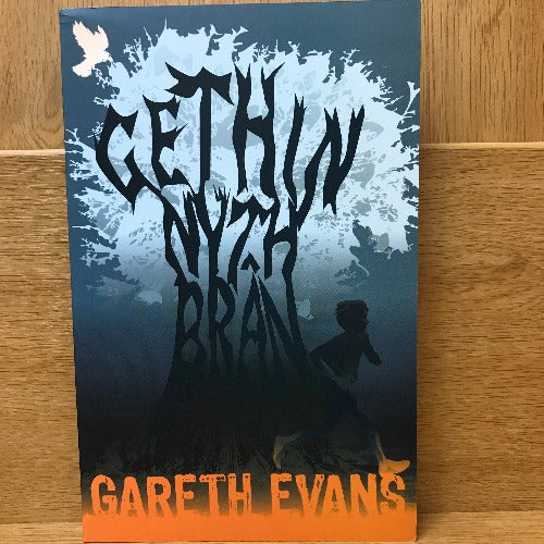 Gethin Nyth Brân - Gareth Evans