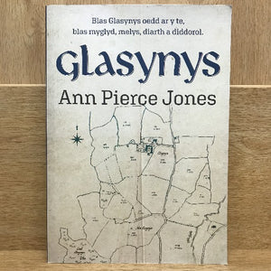 Glasynys - Ann Pierce Jones