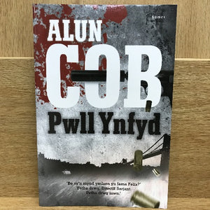 Pwll Ynfyd - Welsh bookshop