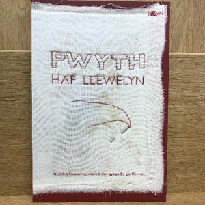 Pwyth - Haf Llewelyn