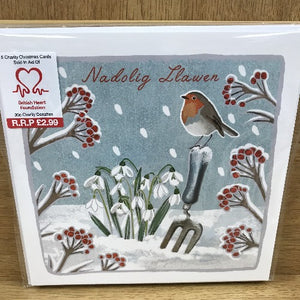 Robin in the garden - Welsh Christmas cards - Pecynnau cardiau Elusennol - Packs of charity cards