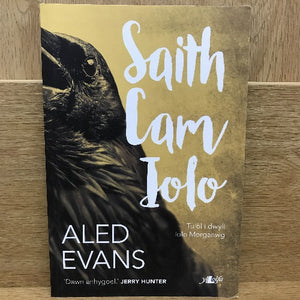 Saith Cam Iolo - Aled Evans